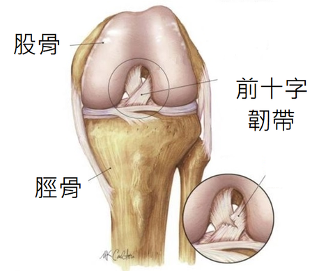 圖