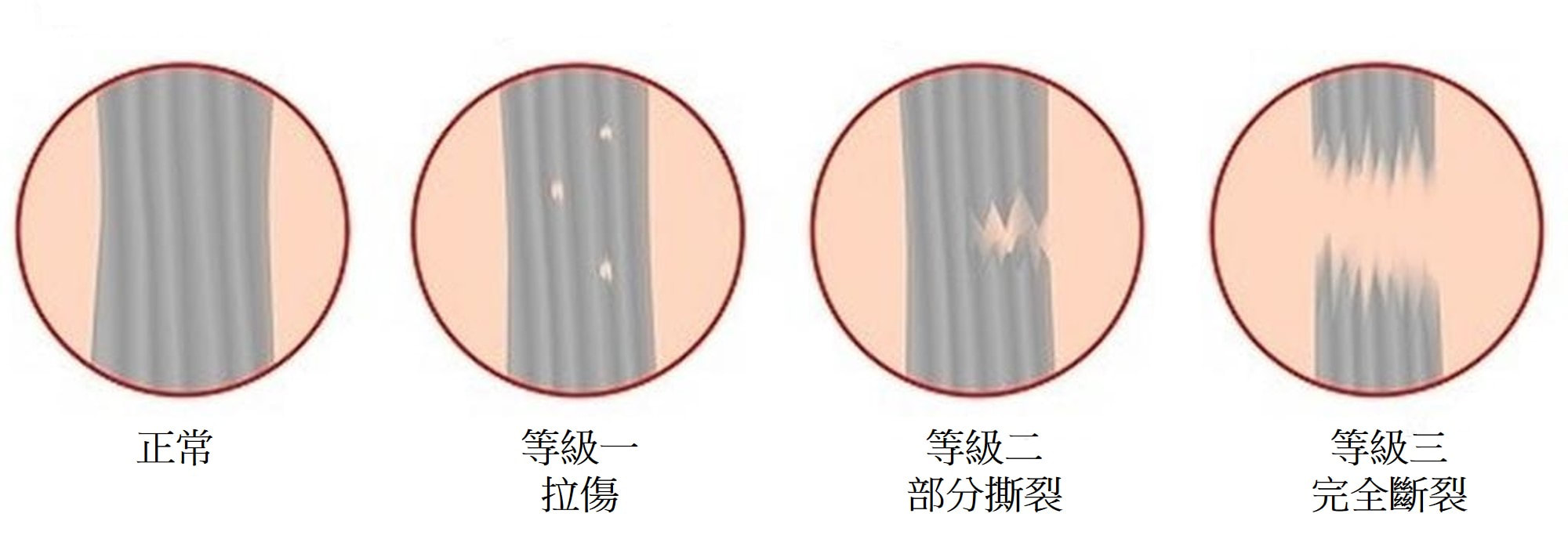圖