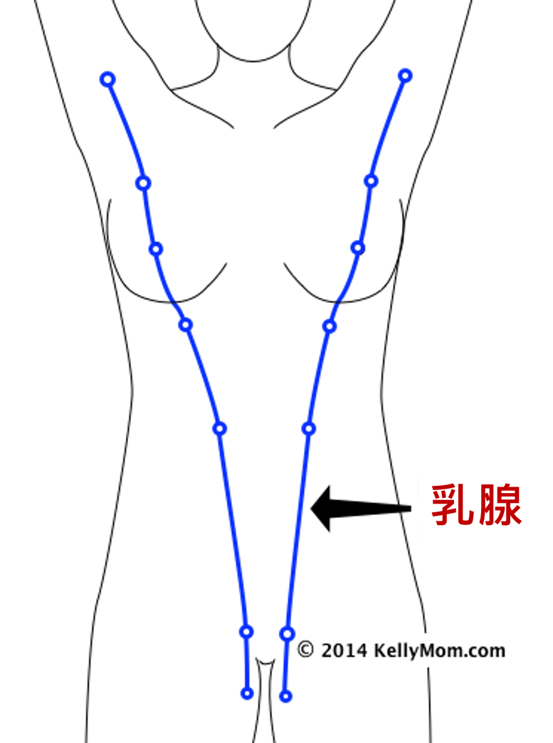 圖