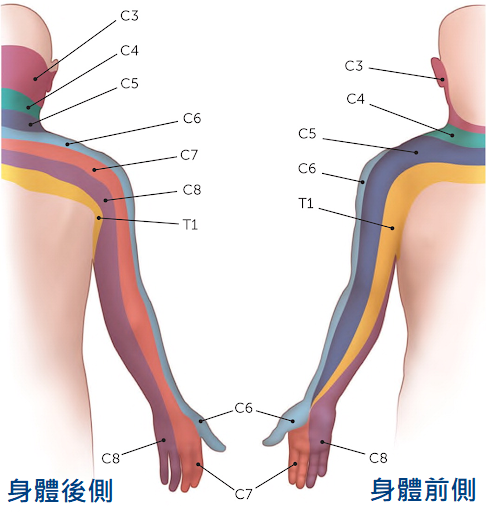 圖