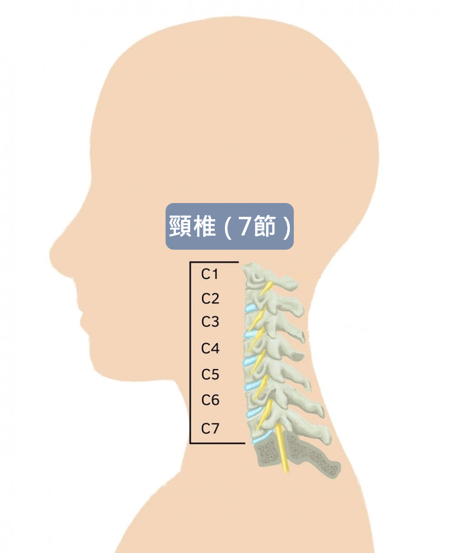 圖