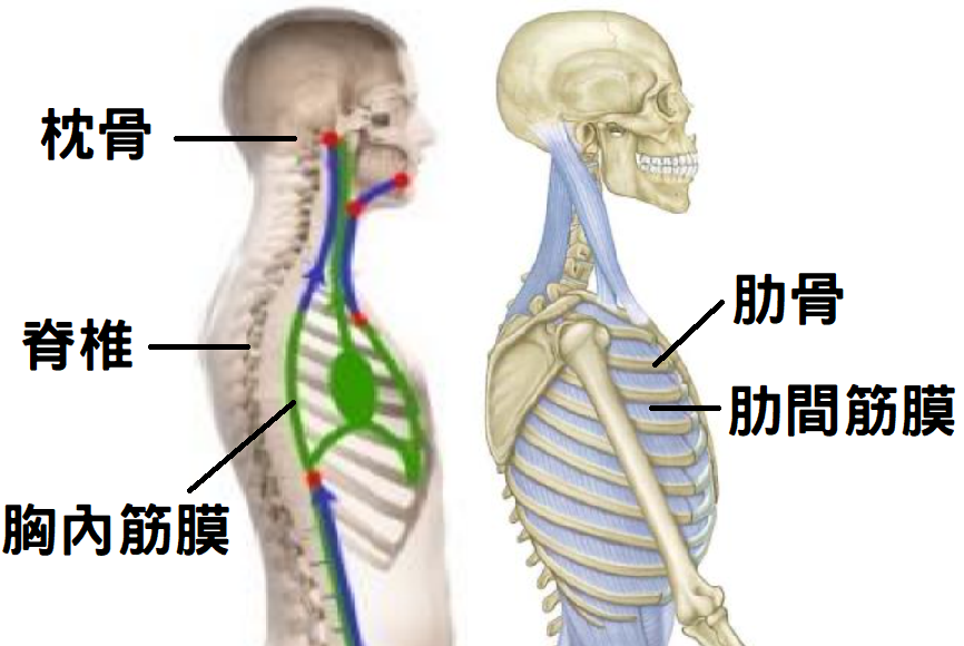 圖