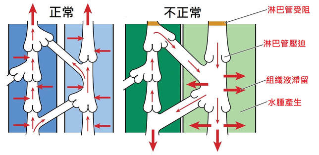 圖
