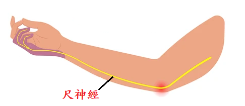 圖