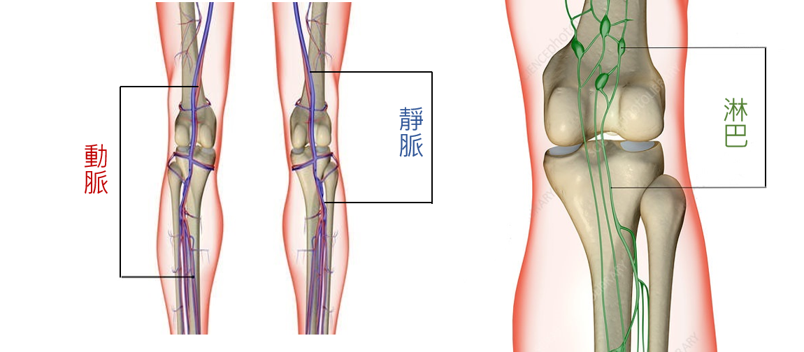 圖