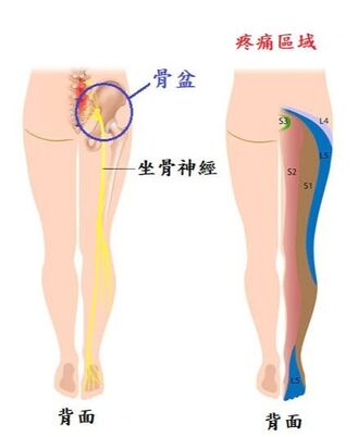 圖