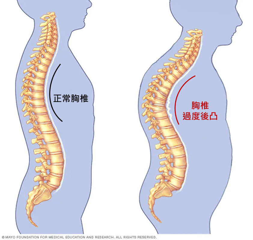 圖