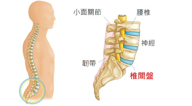 圖