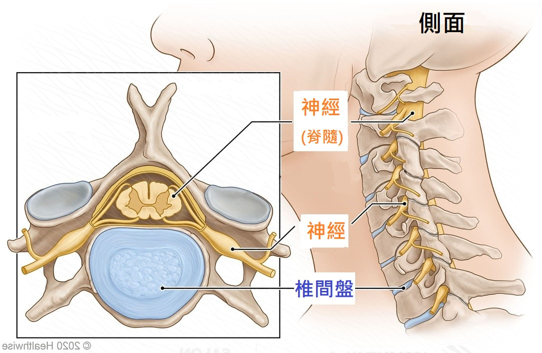 圖