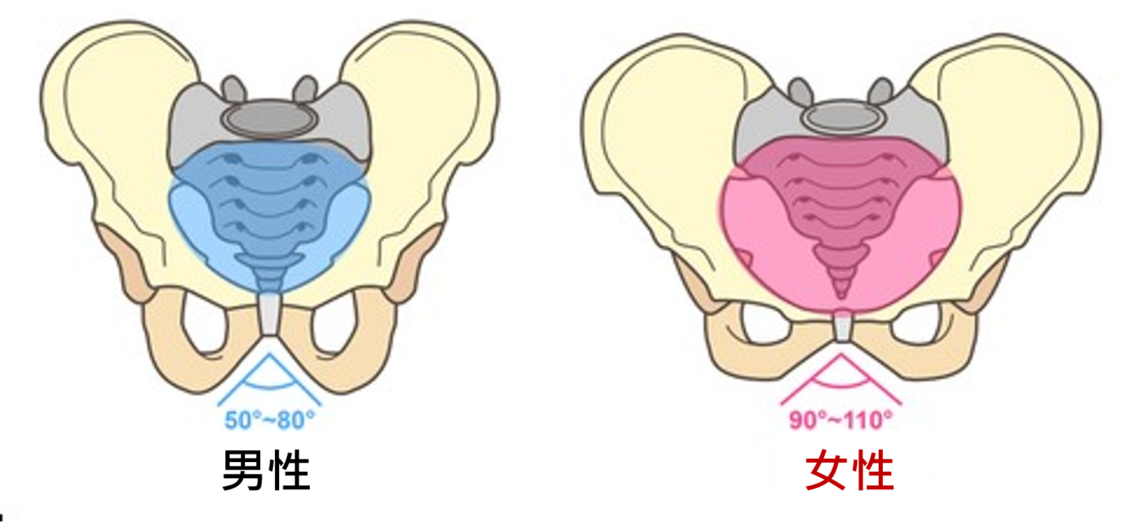 圖