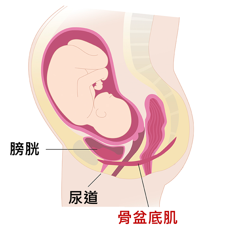 圖