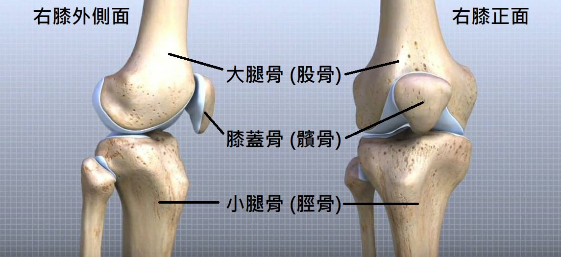 圖