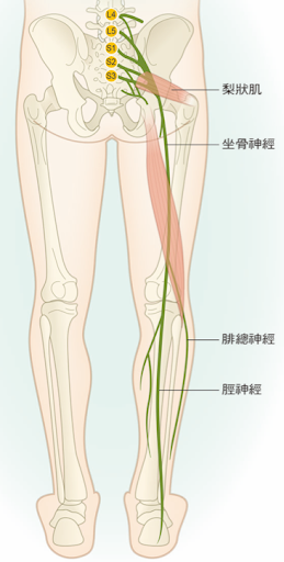 圖