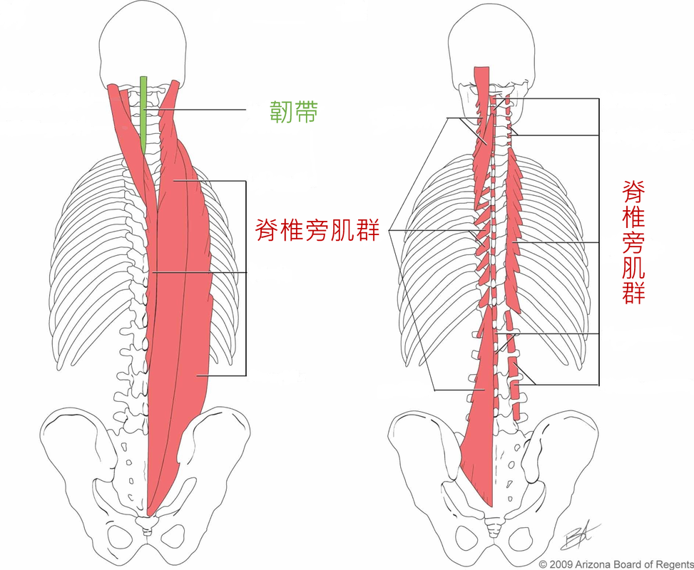 圖