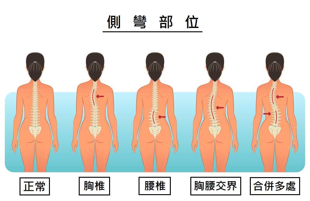 圖