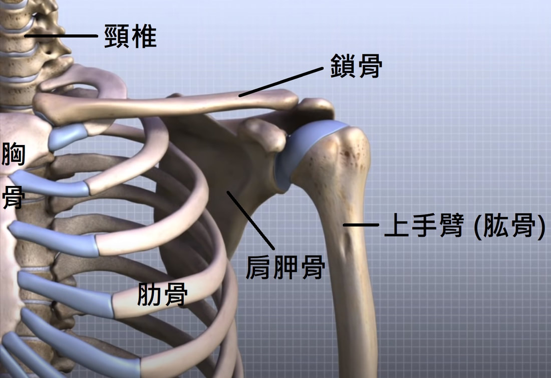 圖