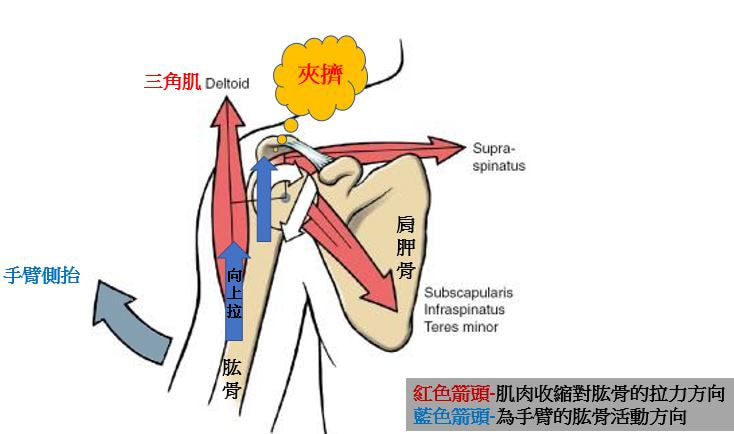 圖