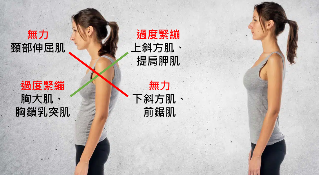 圖
