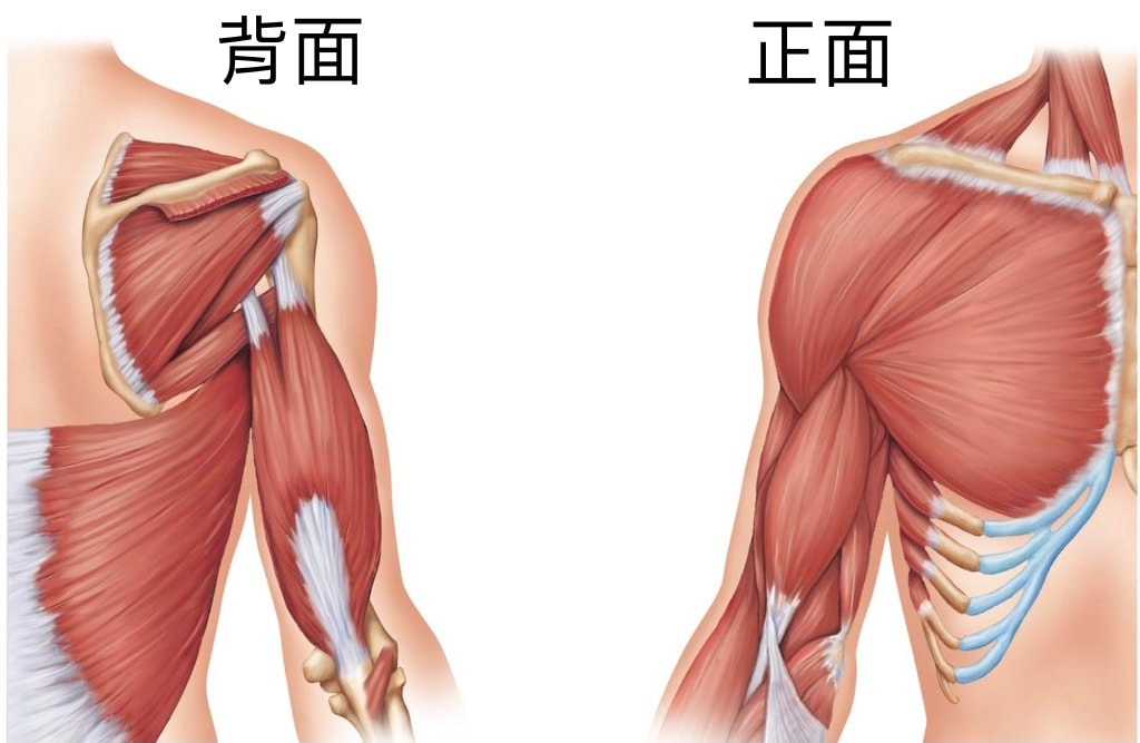 圖