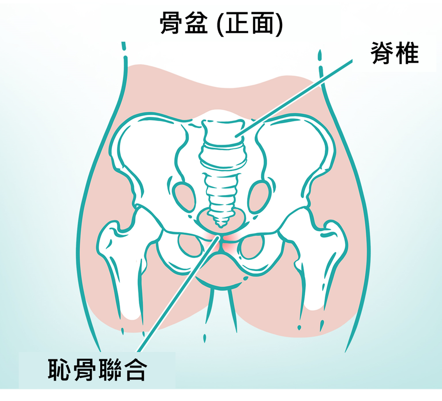 圖