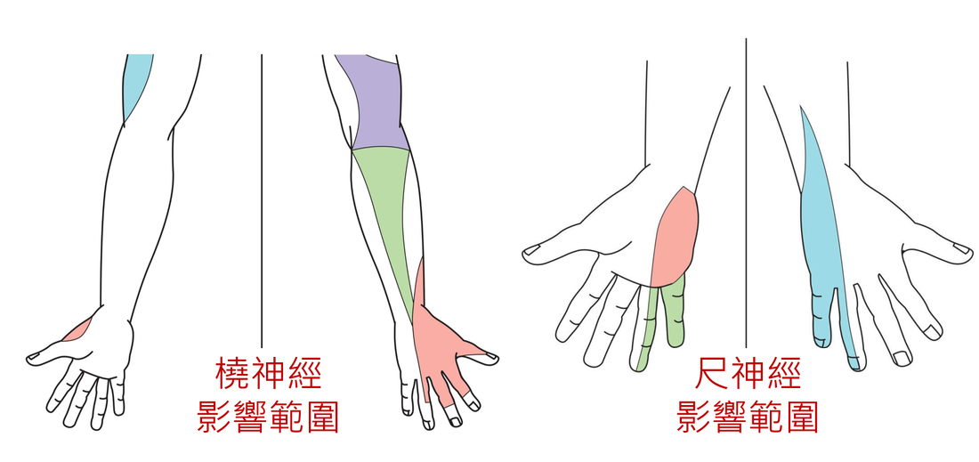 圖