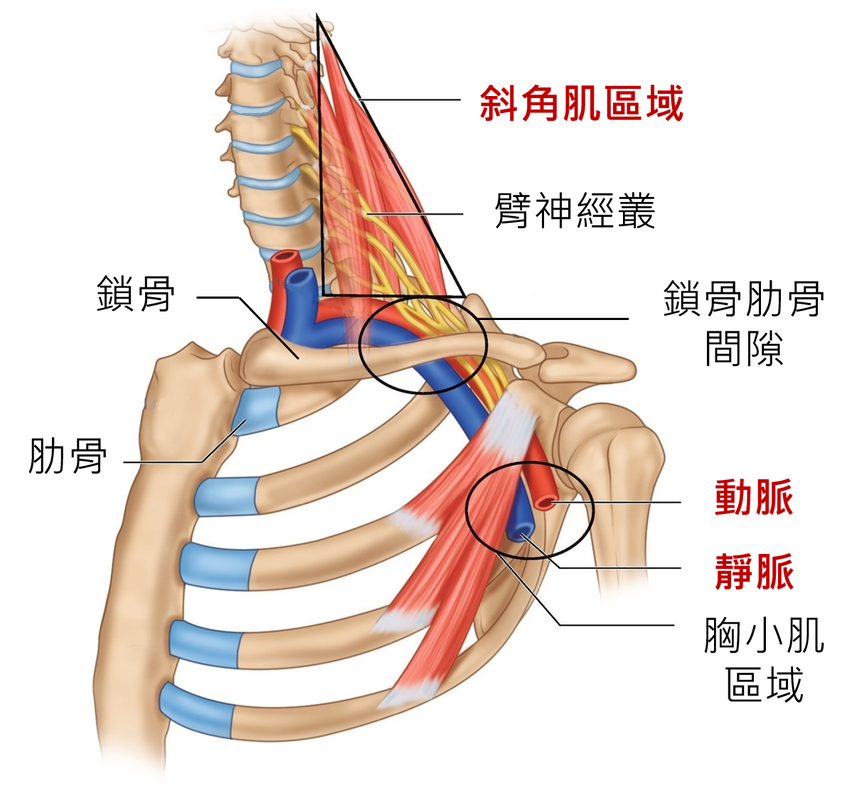 圖