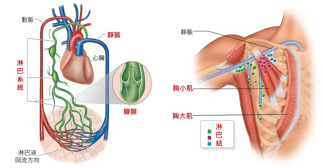 圖