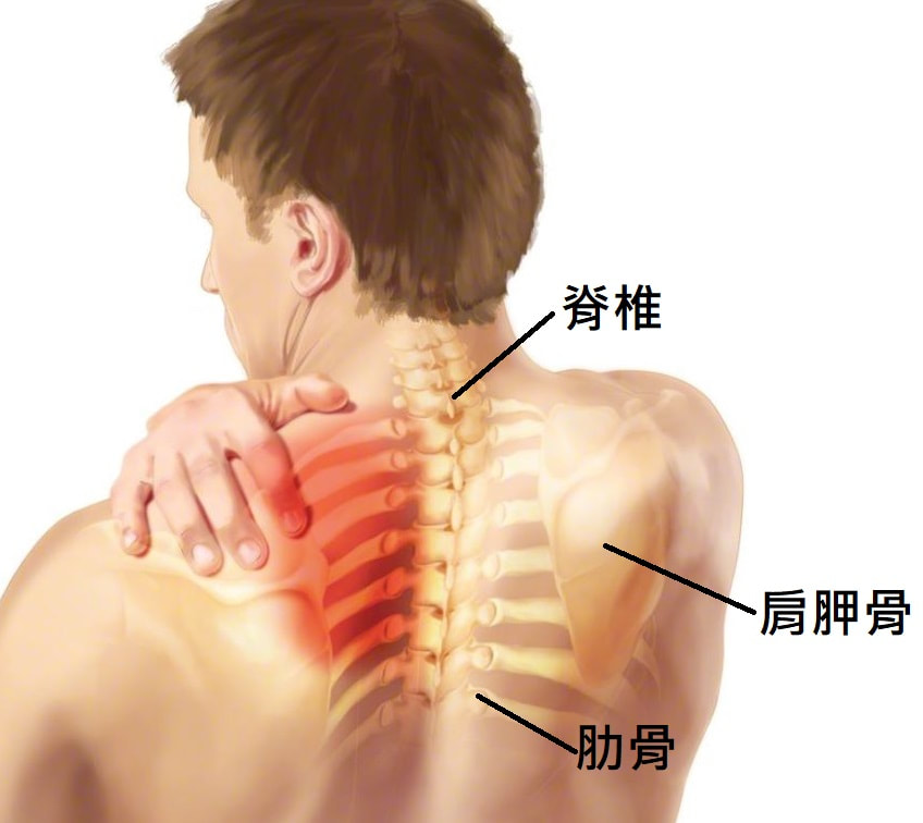 圖