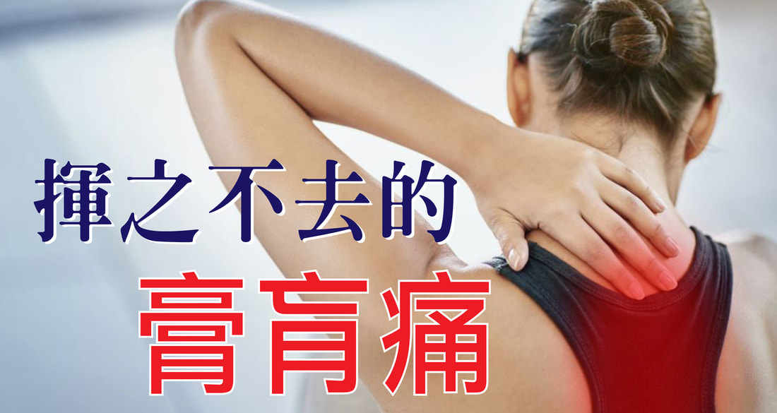 膏肓痛一直好不了？根源可能不在背部