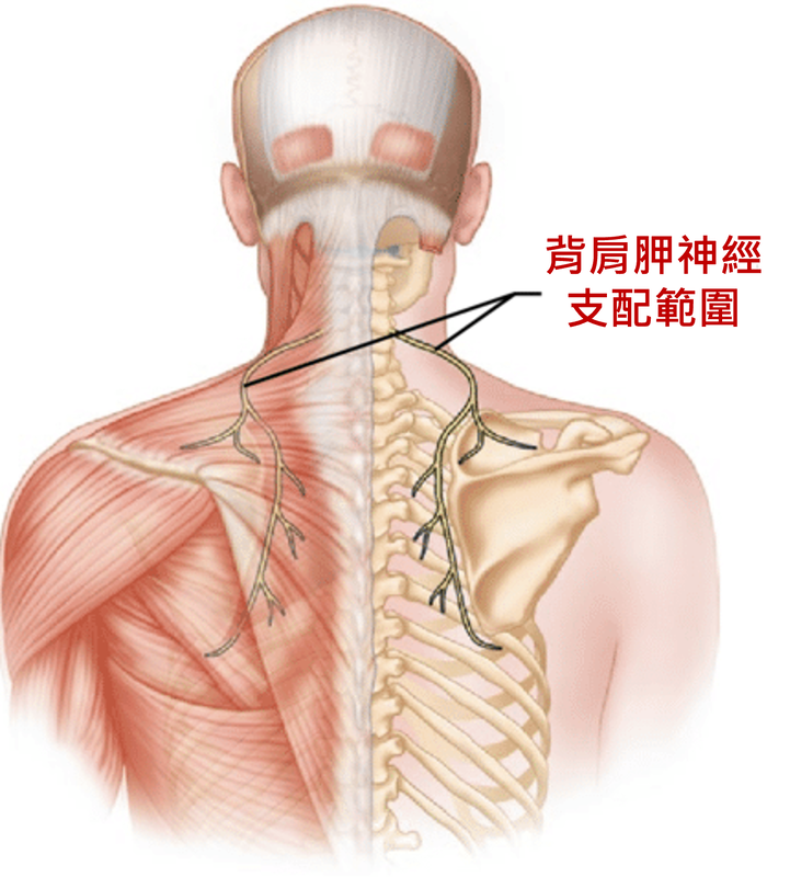 圖