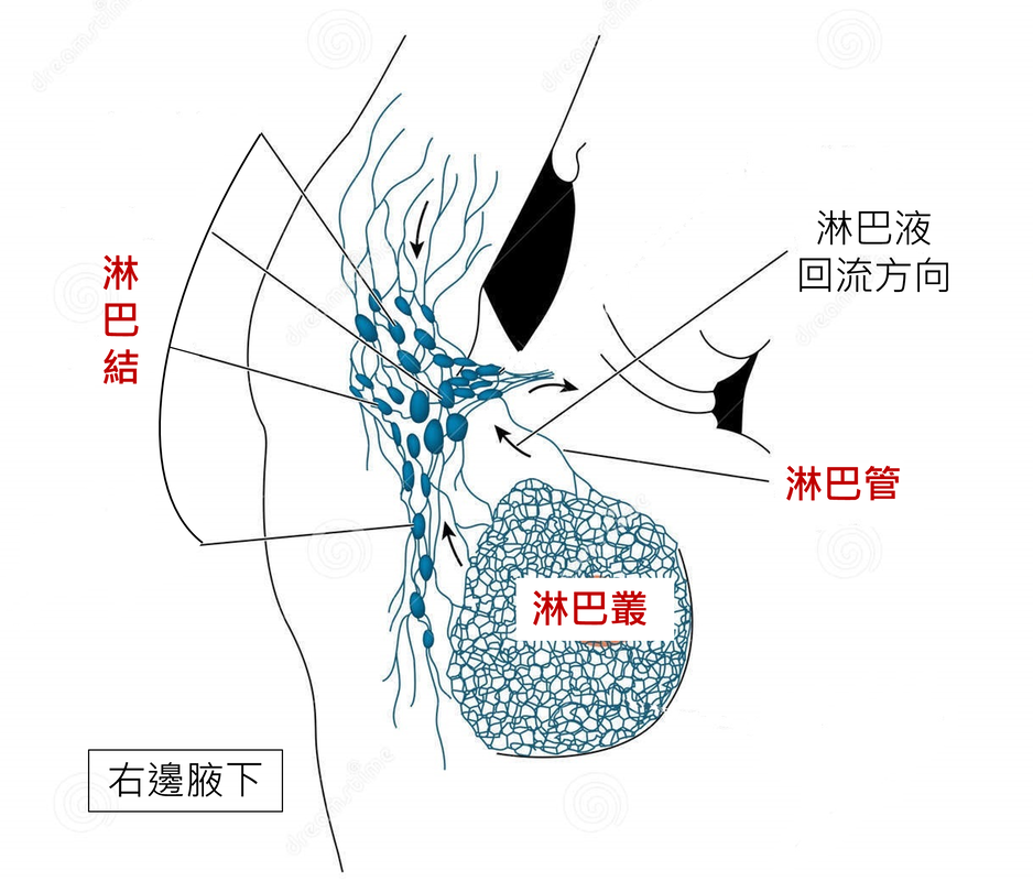 照片