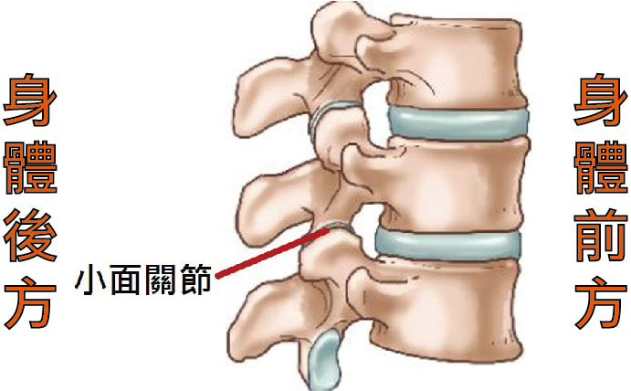 照片