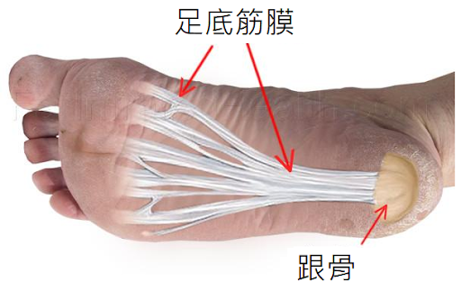 照片