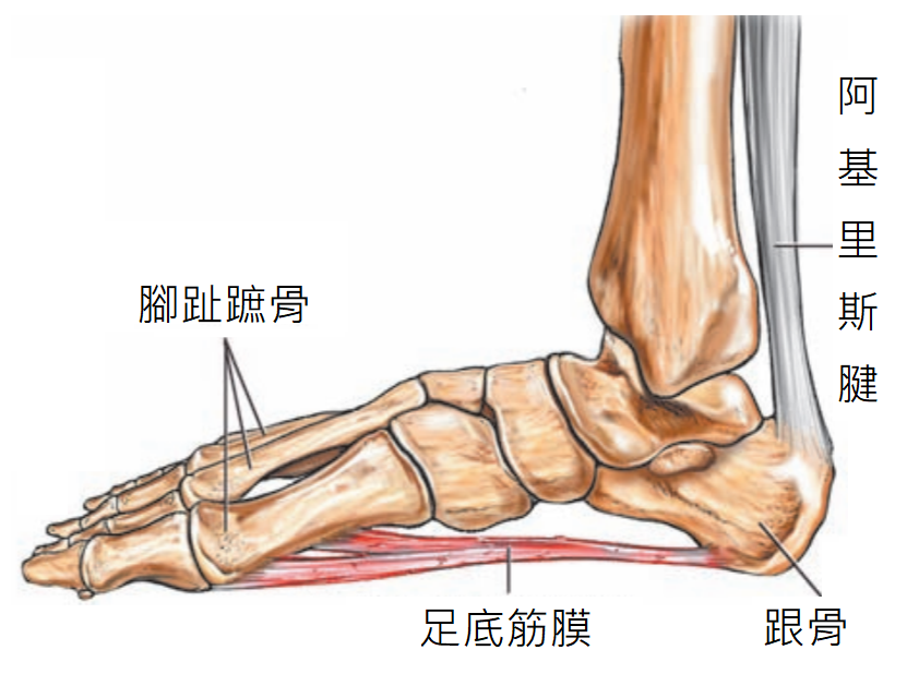 照片