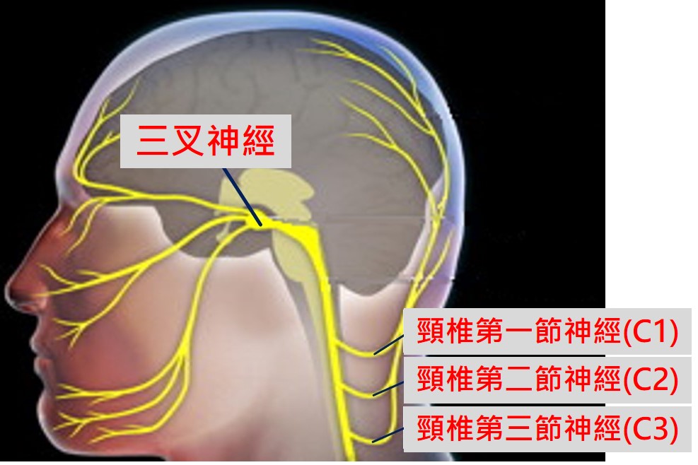 照片