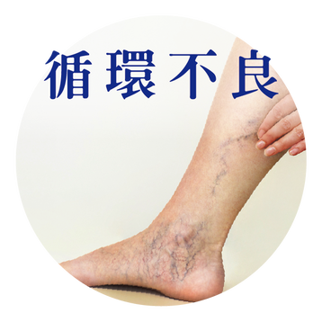 循環 見證