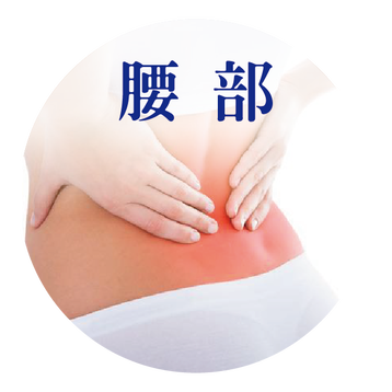 腰部 見證