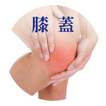 膝蓋 見證