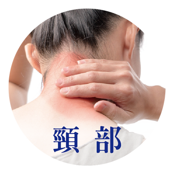 頸部 見證